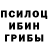 Псилоцибиновые грибы Psilocybine cubensis GhosTVoiN 3k0