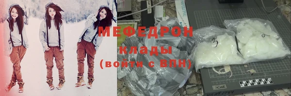 индика Надым