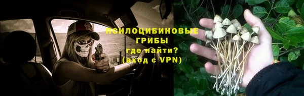 индика Надым