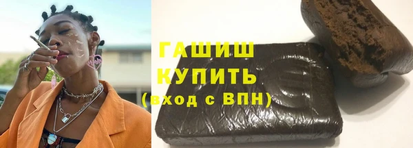 индика Надым