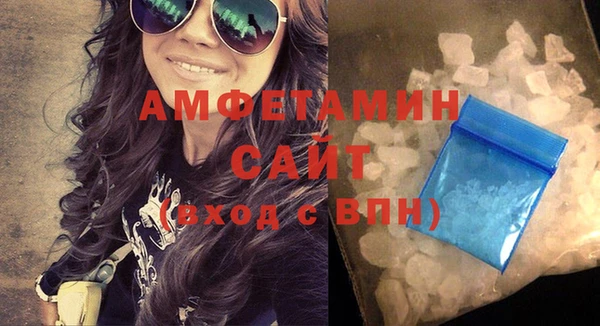индика Надым
