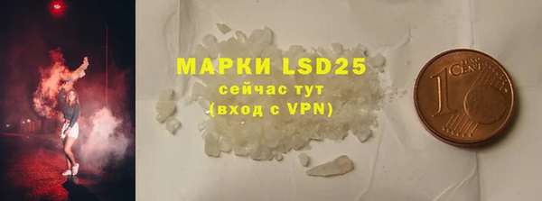 индика Надым