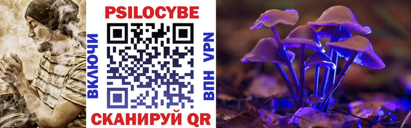мориарти телеграм  Макушино  Галлюциногенные грибы Magic Shrooms 